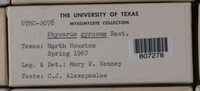 Image Associated With the Occurence